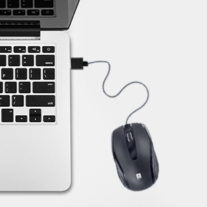 Iball Style 36 Wired USB Mouse